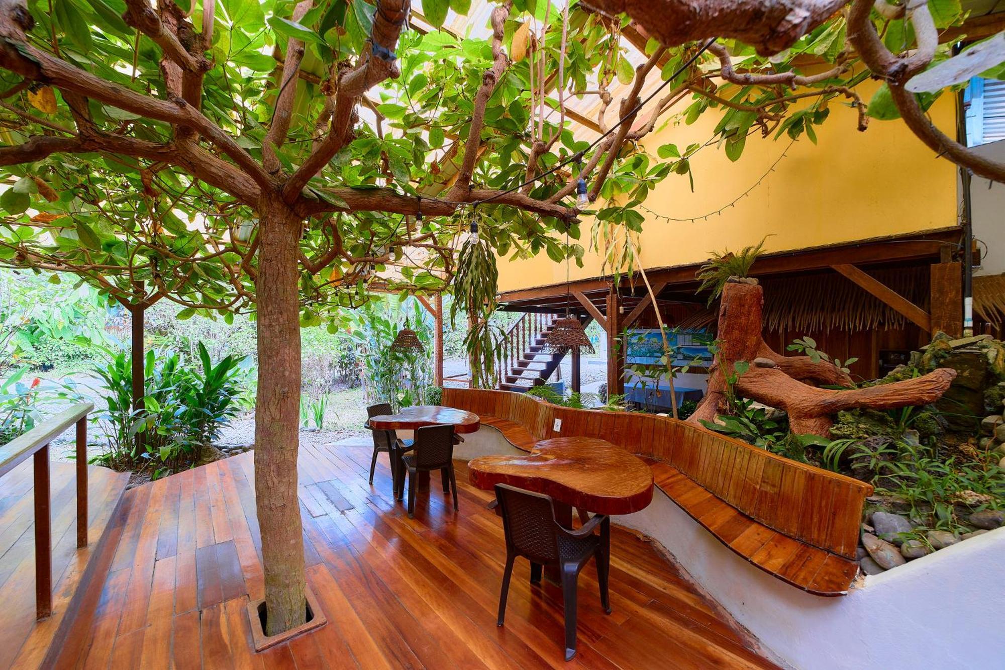 Cabinas Montesol Puerto Viejo de Talamanca ภายนอก รูปภาพ
