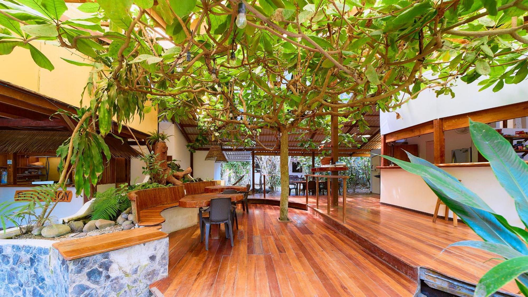 Cabinas Montesol Puerto Viejo de Talamanca ภายนอก รูปภาพ