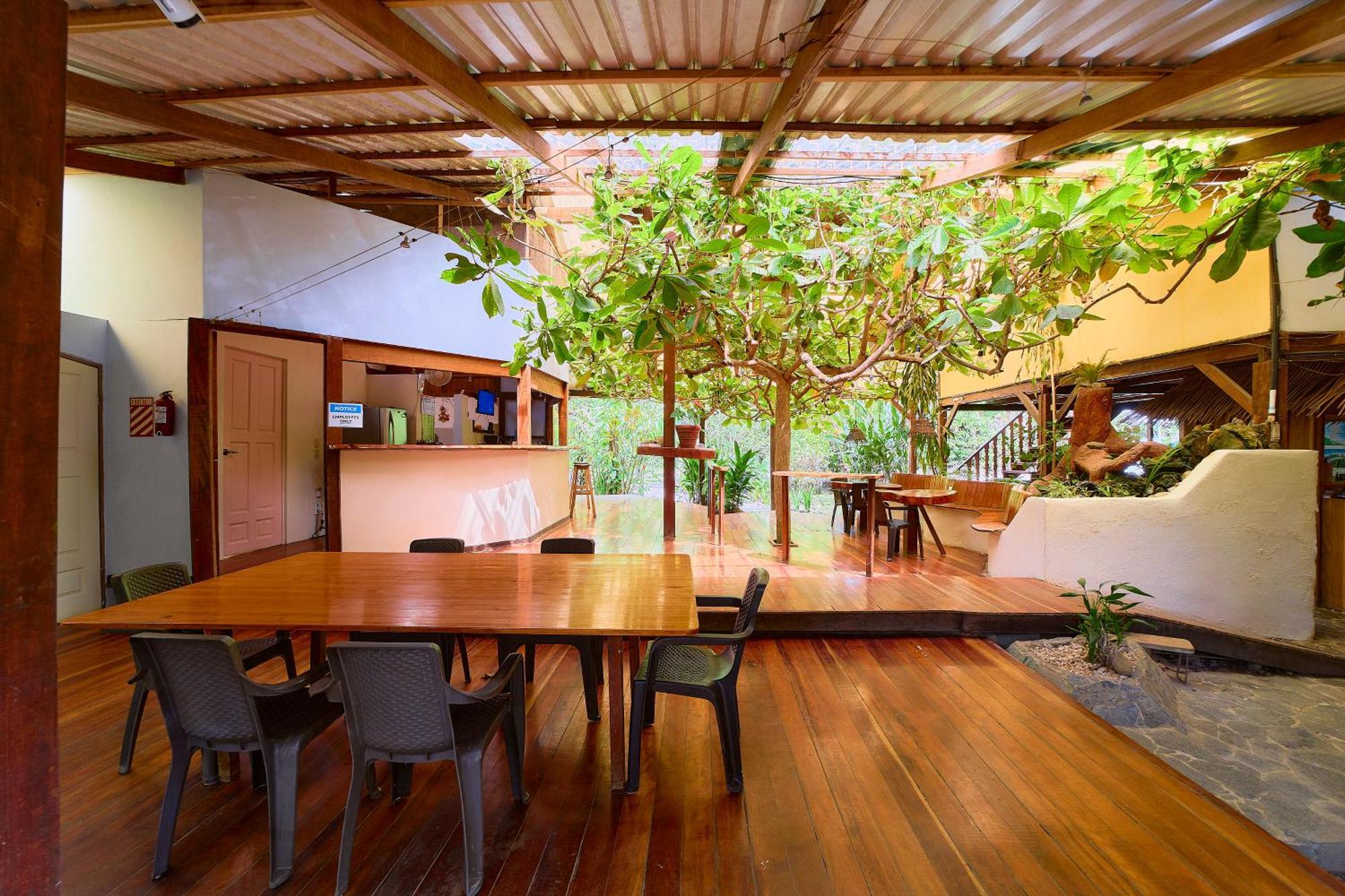 Cabinas Montesol Puerto Viejo de Talamanca ภายนอก รูปภาพ