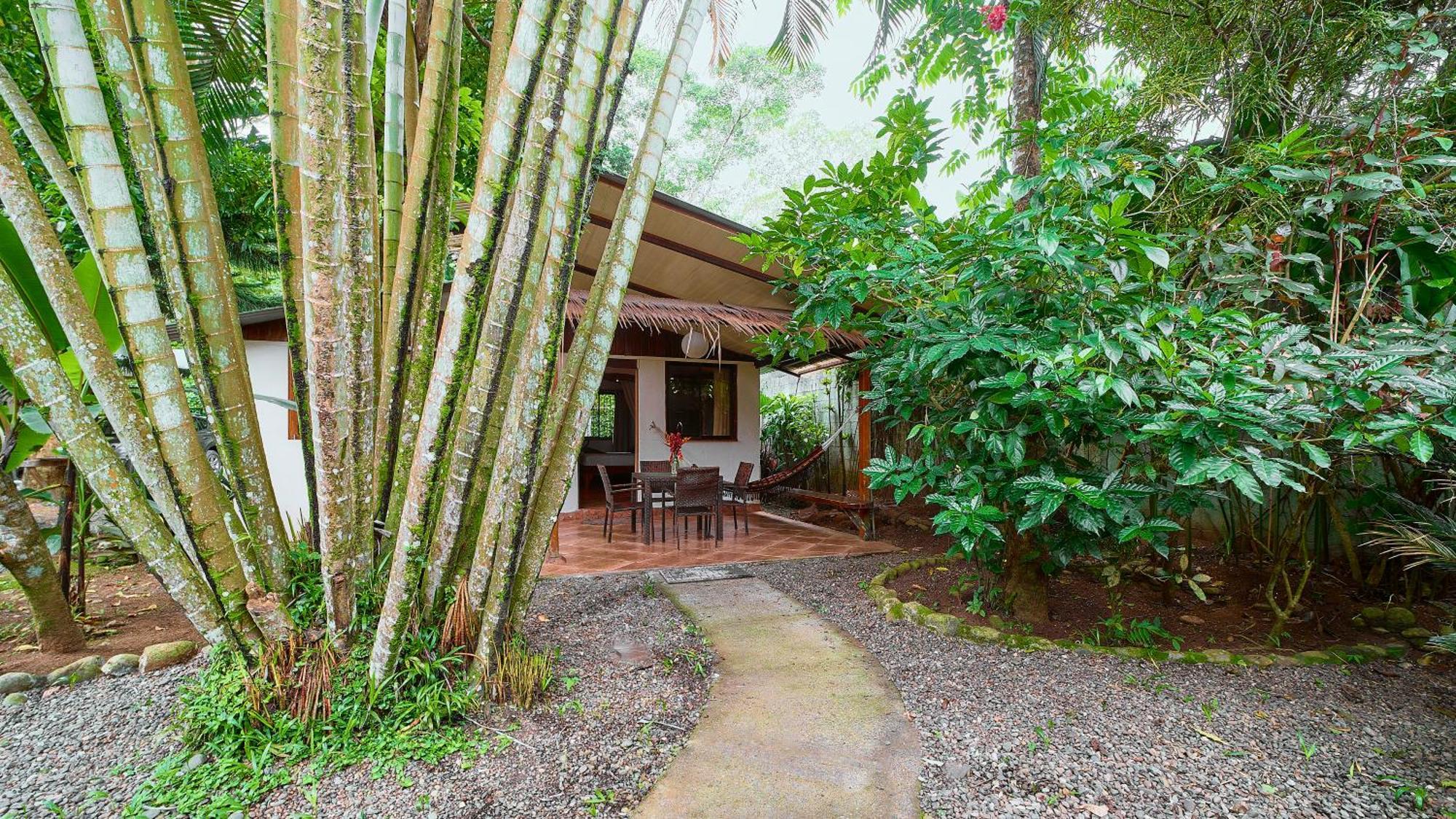 Cabinas Montesol Puerto Viejo de Talamanca ภายนอก รูปภาพ
