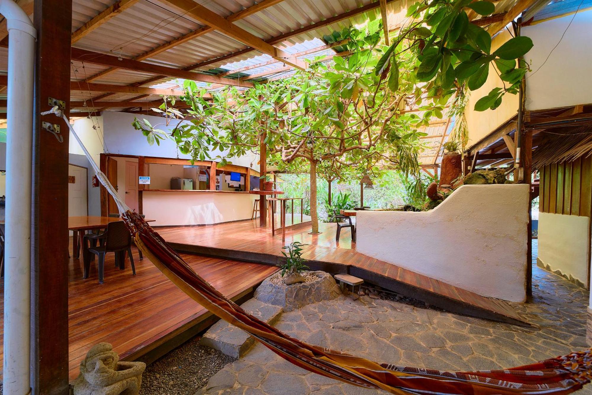 Cabinas Montesol Puerto Viejo de Talamanca ภายนอก รูปภาพ