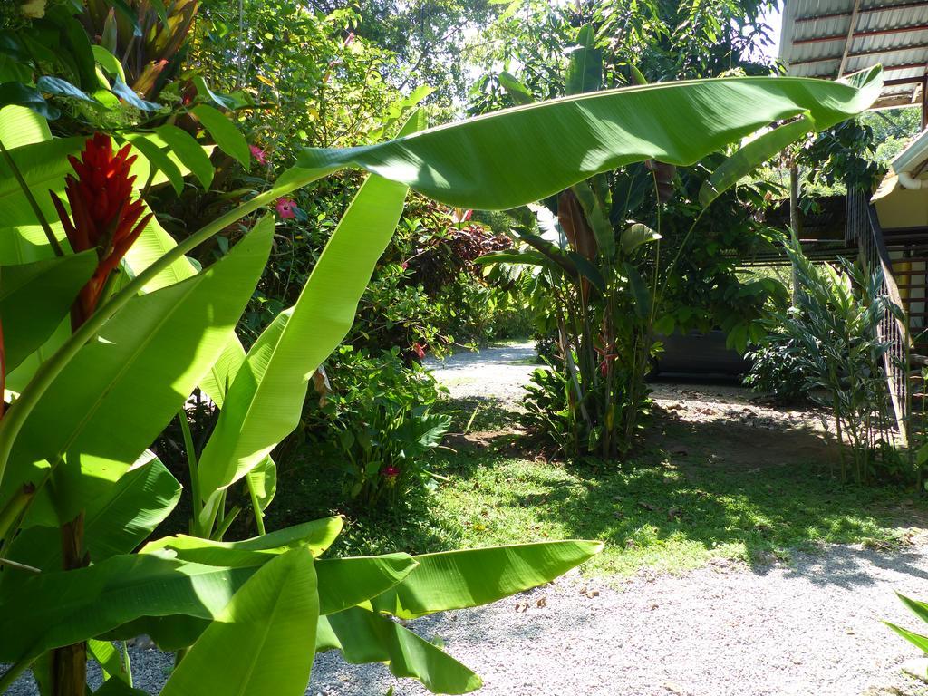 Cabinas Montesol Puerto Viejo de Talamanca ภายนอก รูปภาพ